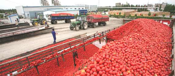 中国推动构建共赢、互信、发展的新丝绸之路