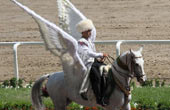 实拍土库曼斯坦国宝“天马”