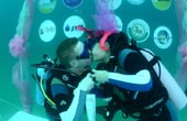 泰国：浪漫海底婚礼迎接“情人节”