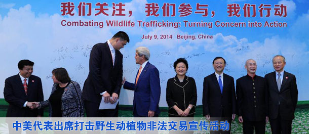 劉延東、楊潔篪同美國國務卿克裏共同出席中美打擊野生動植物非法交易宣傳活動（圖）
