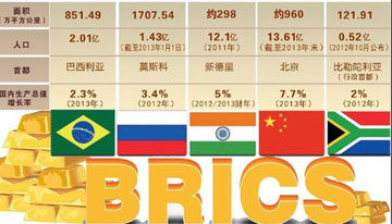 金砖合作促进包容性增长