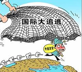2014中国海外反腐力度空前