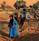中国和摩洛哥推动“丝路”东西两端文化互鉴