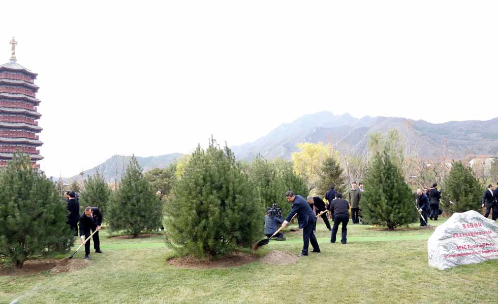 出席亚太经合组织领导人非正式会议的各成员经济体领导人或代表共植亚太伙伴林