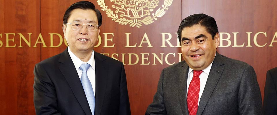 张德江与墨西哥参议长巴尔沃萨举行会谈