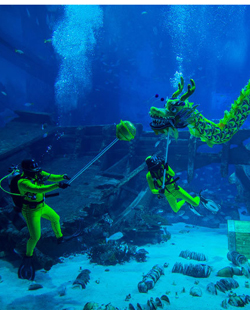 聖淘沙名勝世界神採飛&ldquo;羊&rdquo;