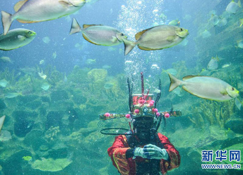 马来西亚：水中&ldquo;财神&rdquo;贺新春