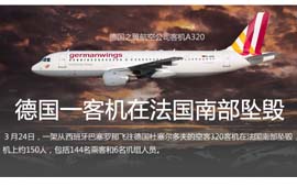 独家:坠机示意图