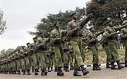 肯尼亚越境空袭"青年党"据点 两处营地被摧毁