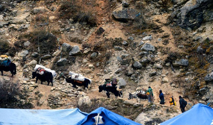 “地震孤岛”见闻