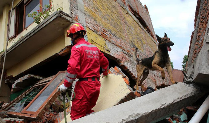 中国救援队的“神犬奇兵”