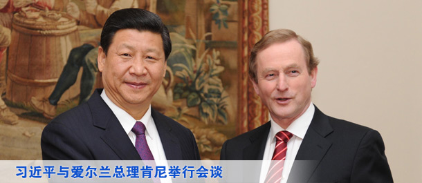 习近平与爱尔兰总理肯尼举行会谈