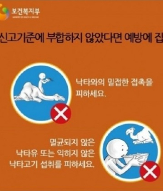 韩政府"防疫宝典":不吃骆驼肉喝骆驼奶