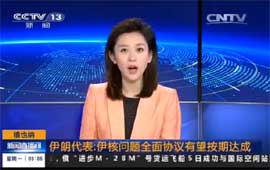 伊朗代表：伊核问题协议有望按期达成