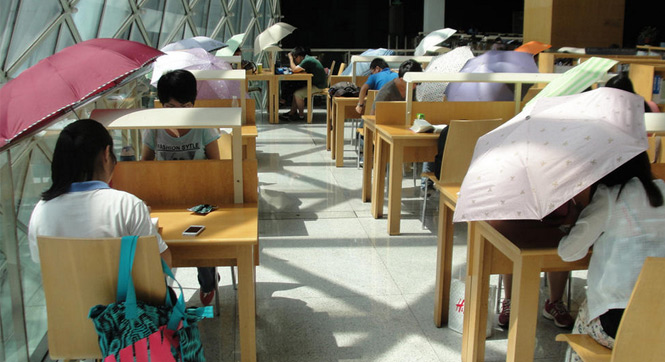 深圳图书馆内太阳暴晒 民众撑伞读书