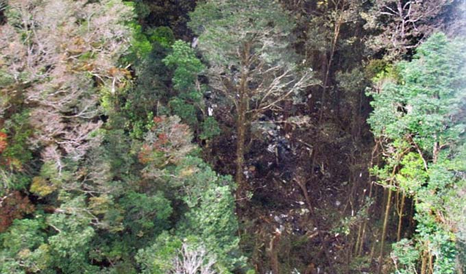印尼坠机残骸照片曝光 机上发现38具遇难者遗体(组图)