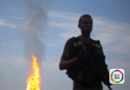 普京:应防止乌东局势升级为大规模冲突