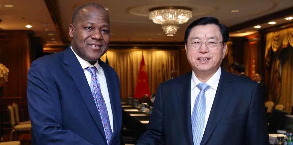 张德江会见尼日利亚众议长多加拉