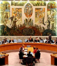 联合国安全理事会