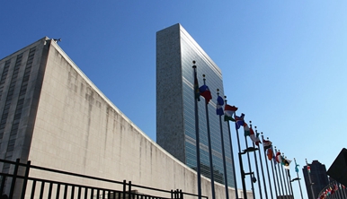 联合国大会