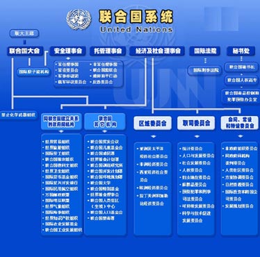 联合国机构