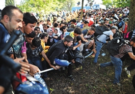 欧洲多国关边境修围墙