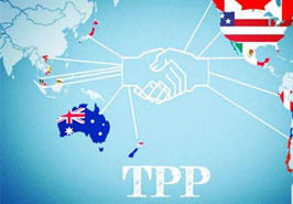 TPP，能有多大产？