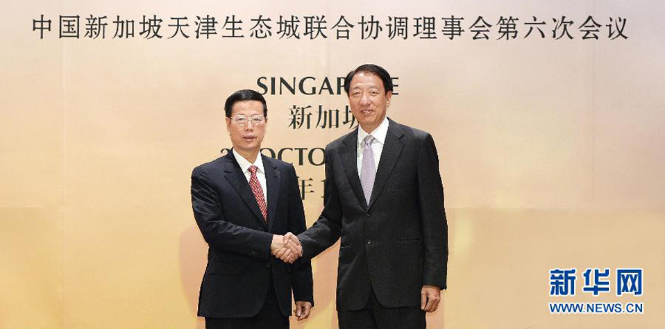 2013：张高丽与张志贤共同主持中新三个高层合作机制会议