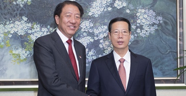 张高丽访问新加坡并主持中新双边合作机制会议