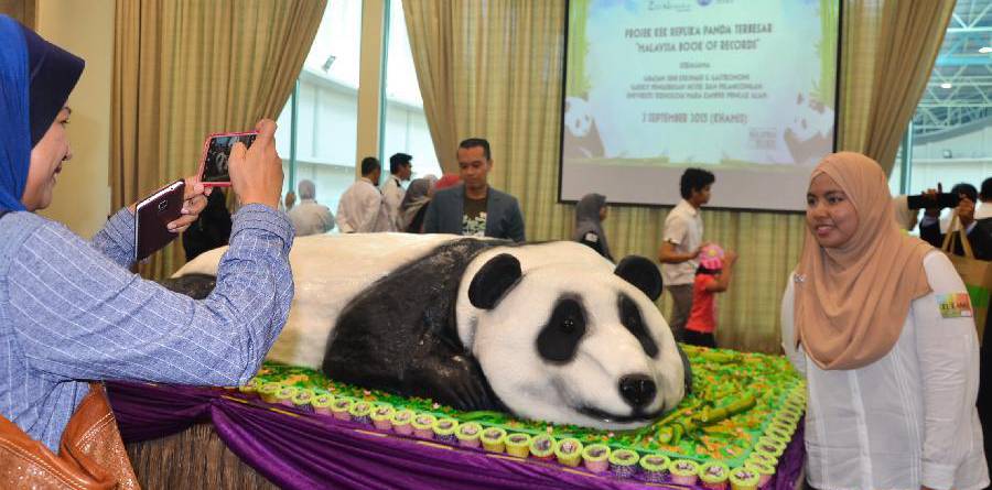 马来西亚为中国大熊猫庆祝9岁生日