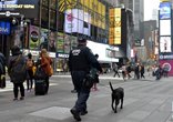 “IS”视频威胁袭击纽约 警方加强安保措施严防恐袭