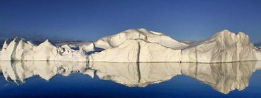 共同但有区别的责任原则