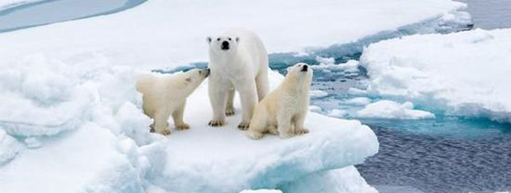 ２℃全球温度升高目标