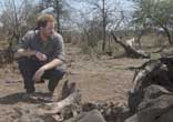 哈里王子访问南非公园 查看偷猎现场（高清）