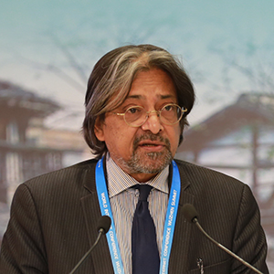 发言嘉宾：英德拉吉特&middot;班纳吉