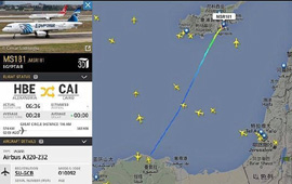 埃及航空一架客机被劫持