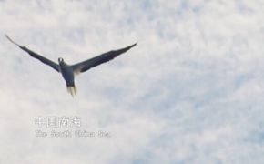 解读中国之中国南海 第八集