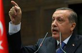 土耳其总统埃尔多安斥美高官“支持政变者”