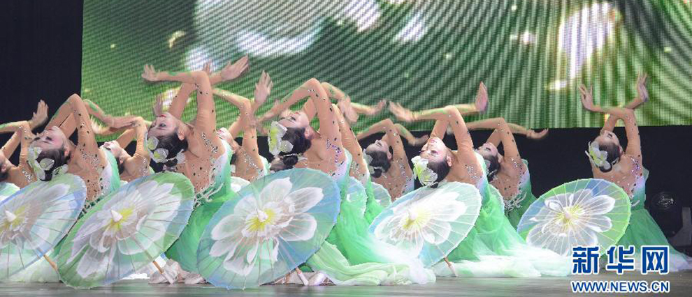 东盟艺术节联合演出在文莱举行（组图）