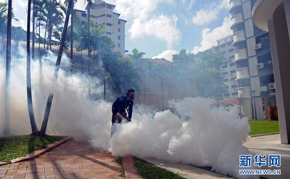 新加坡本土传播的寨卡病毒病例增至82例