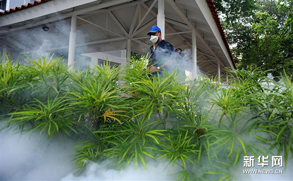 新加坡确诊首个感染寨卡病毒的孕妇案例