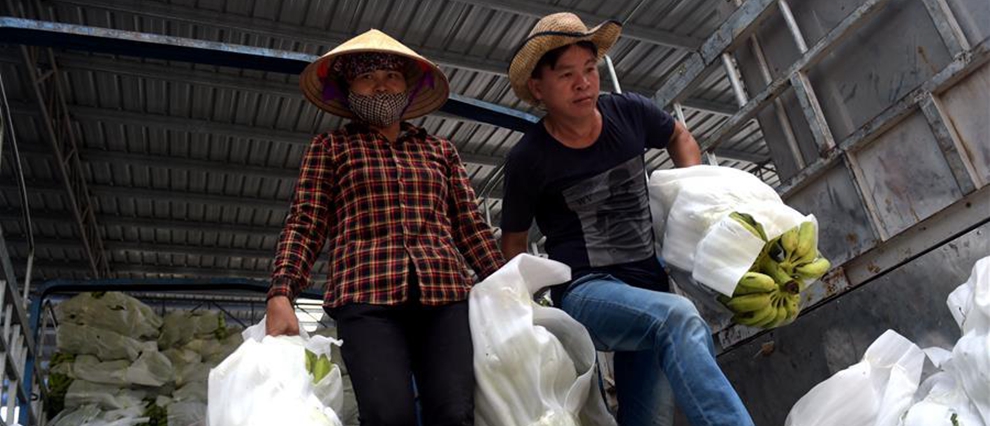 中国－东盟地缘经济发展迅猛（高清组图）