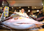 日寿司店老板442万元拍下巨型蓝鳍金枪鱼