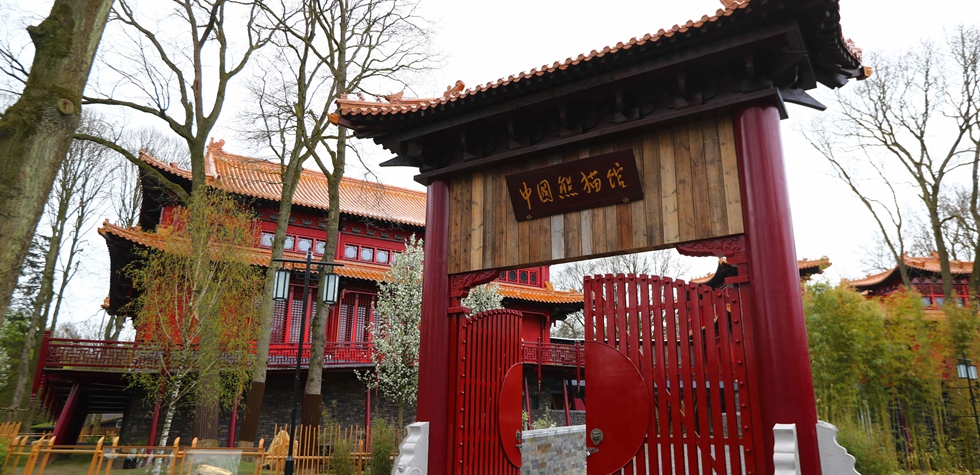 荷兰动物园热盼中国大熊猫