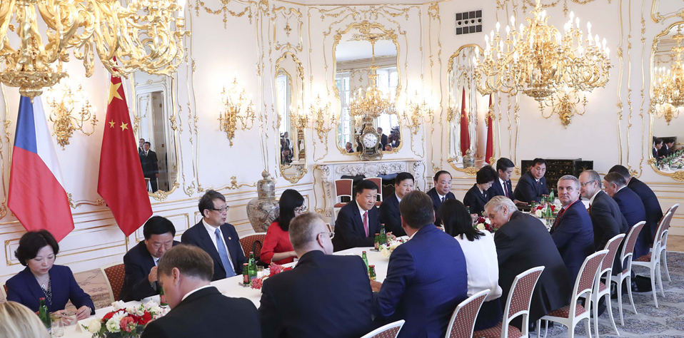 刘云山会见捷克总统泽曼