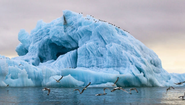 五国媒体用170幅照片致敬金砖10年