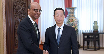张高丽会见新加坡副总理