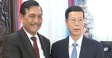 张高丽会见印尼总统特使