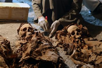 埃及发现距今约3400年阿蒙神金匠墓