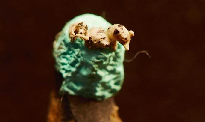 &ldquo;袖珍狗&rdquo;迎新年